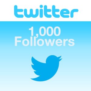 Buy 1000 Twitter follower
