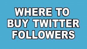 Buy High Quality Twitter Followers USA America